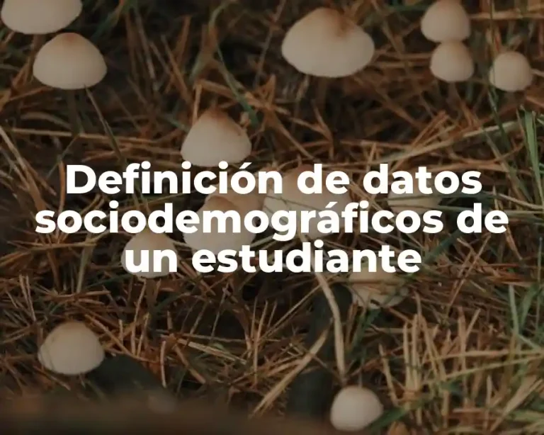 Definición de datos sociodemográficos de un estudiante