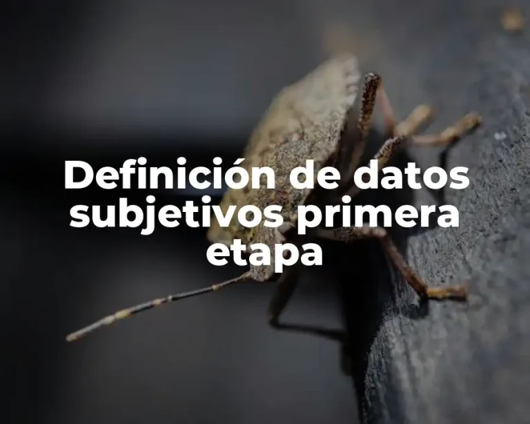 Definición de datos subjetivos primera etapa