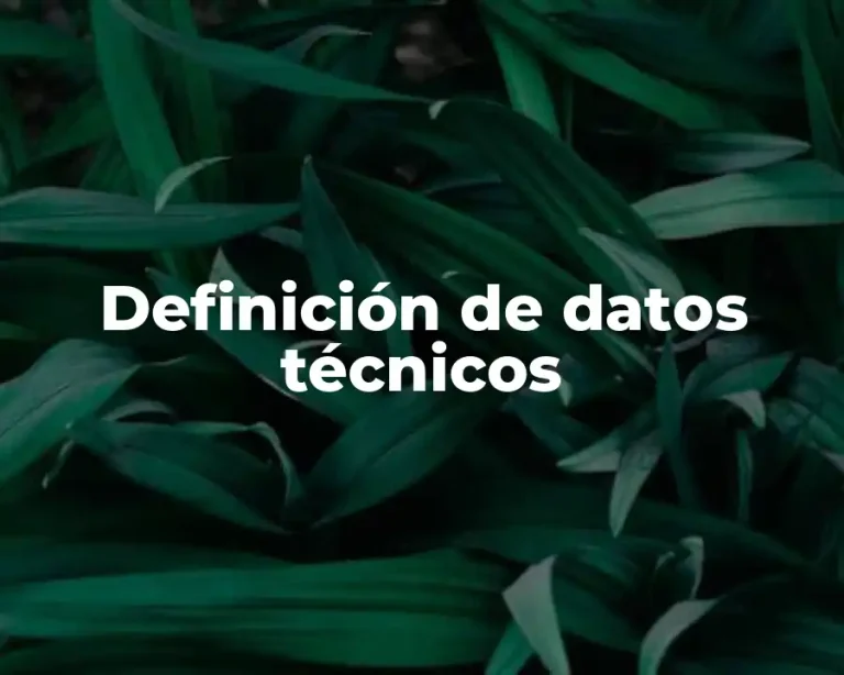 Definición de datos técnicos