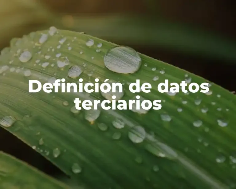 Definición de datos terciarios