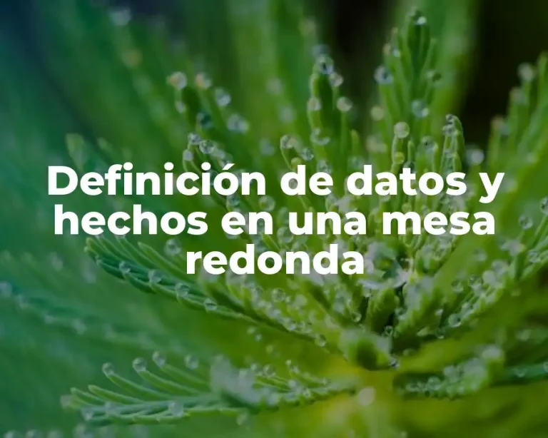 Definición de datos y hechos en una mesa redonda