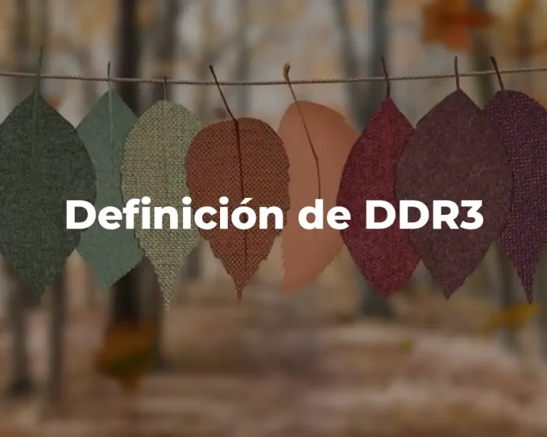 Definición de DDR3