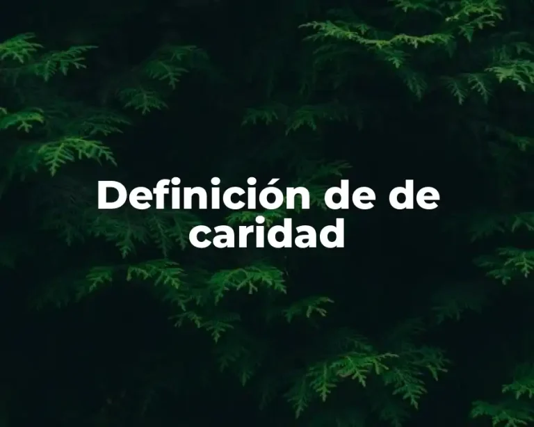 Definición de de caridad
