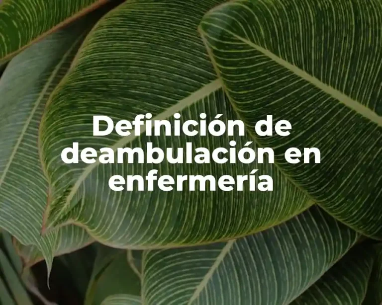 Definición de deambulación en enfermería