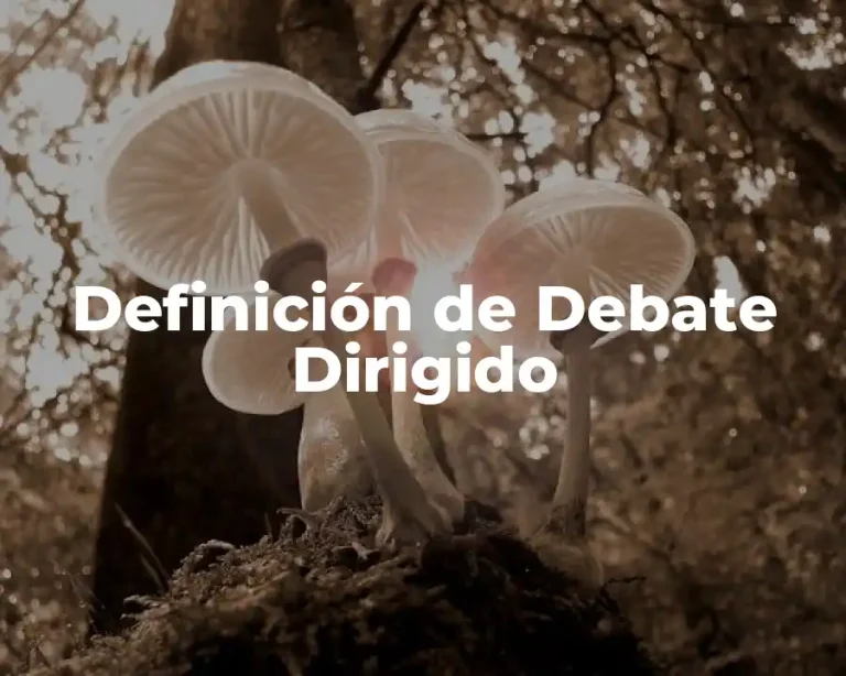Definición de Debate Dirigido