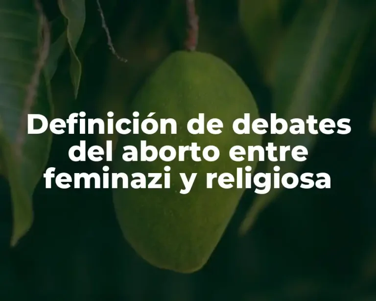 Definición de debates del aborto entre feminazi y religiosa
