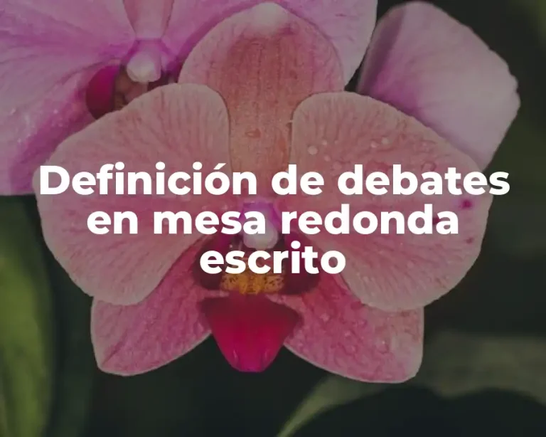 Definición de debates en mesa redonda escrito
