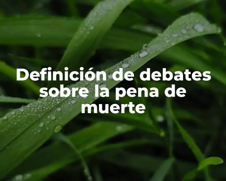 Definición de debates sobre la pena de muerte