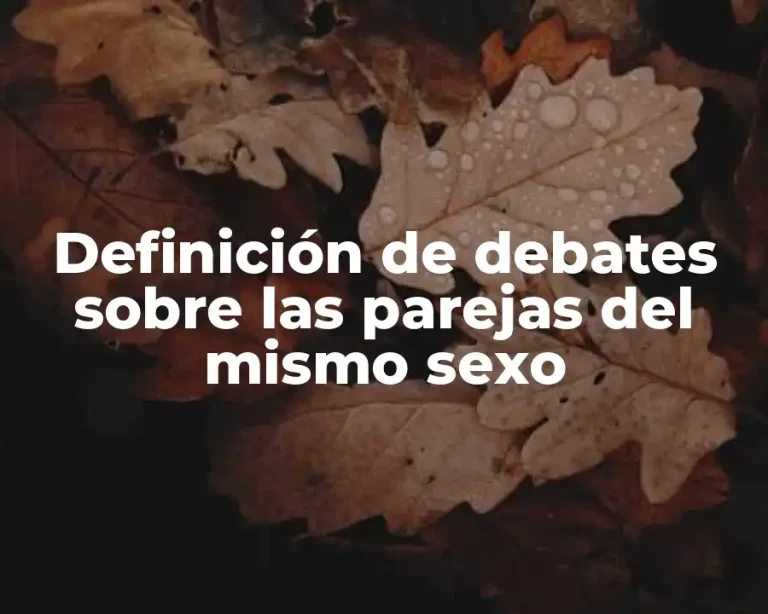 Definición de debates sobre las parejas del mismo sexo