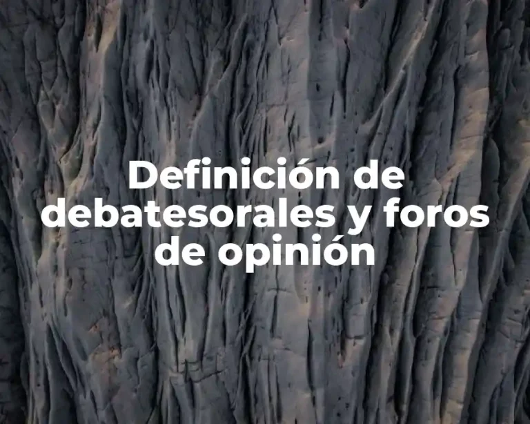 Definición de debatesorales y foros de opinión