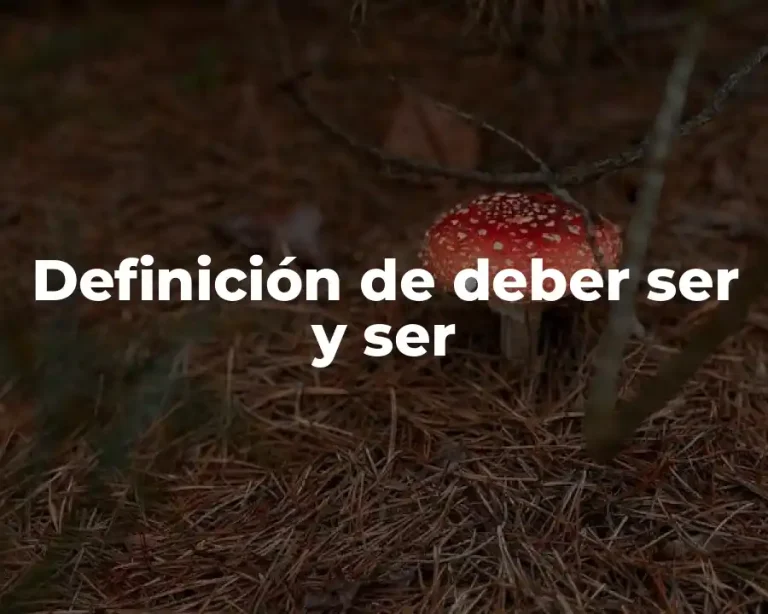 Definición de deber ser y ser