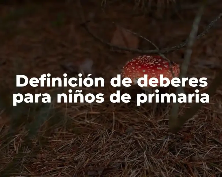 Definición de deberes para niños de primaria