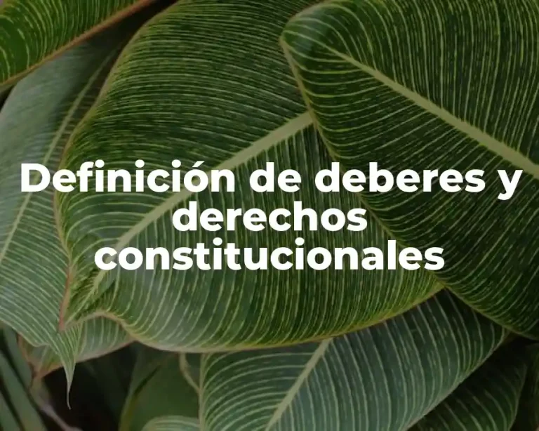 Definición de deberes y derechos constitucionales