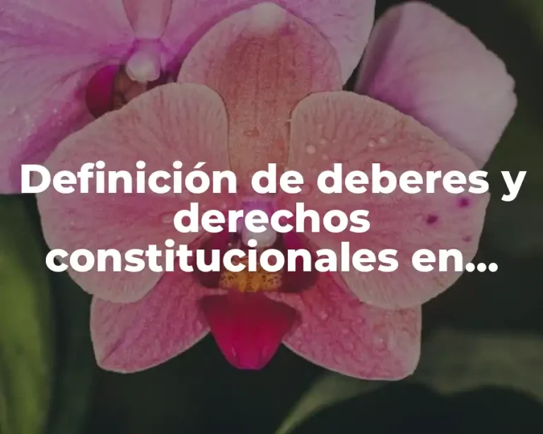 Definición de deberes y derechos constitucionales en México