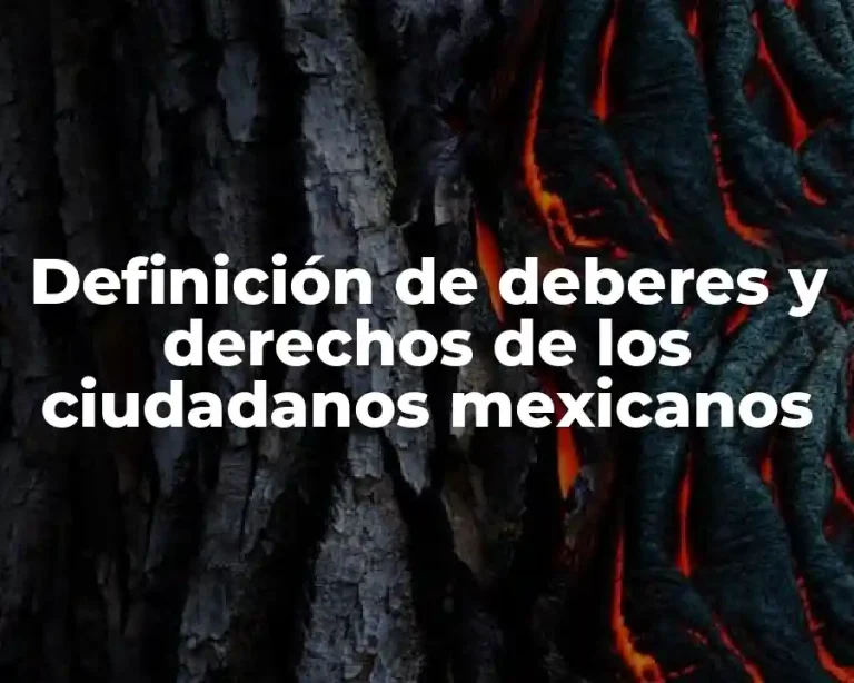 Definición de deberes y derechos de los ciudadanos mexicanos