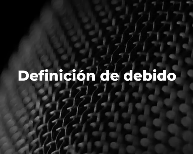 Definición de debido