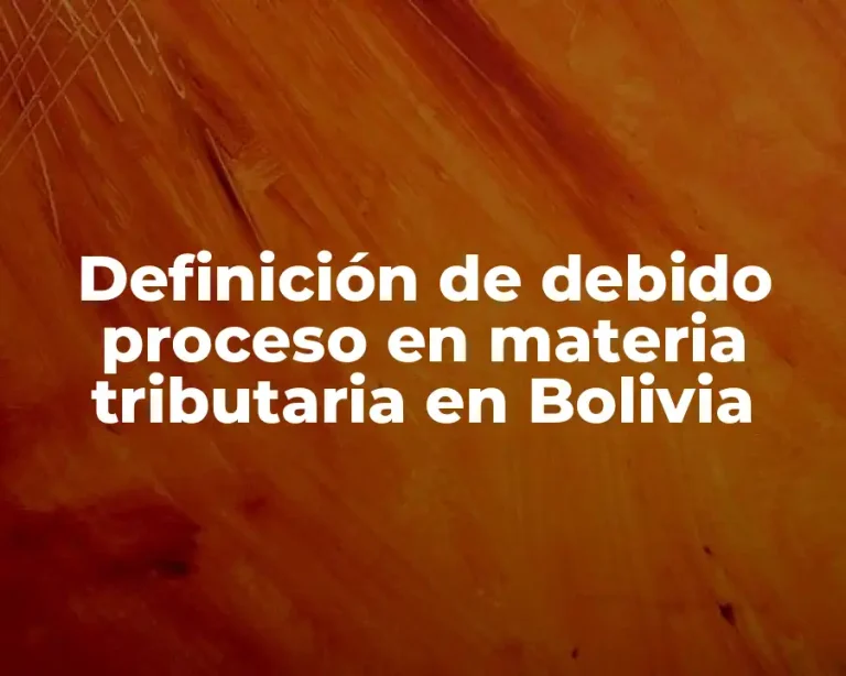 Definición de debido proceso en materia tributaria en Bolivia