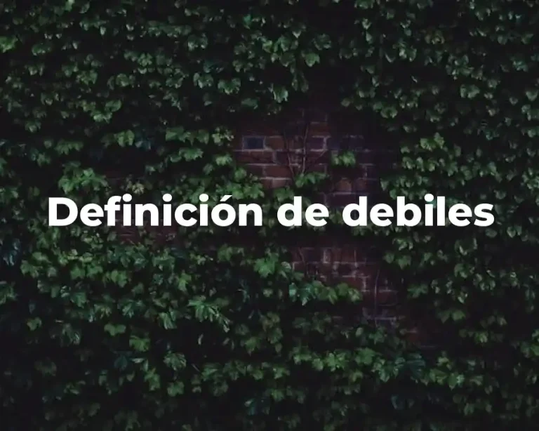 Definición de debiles