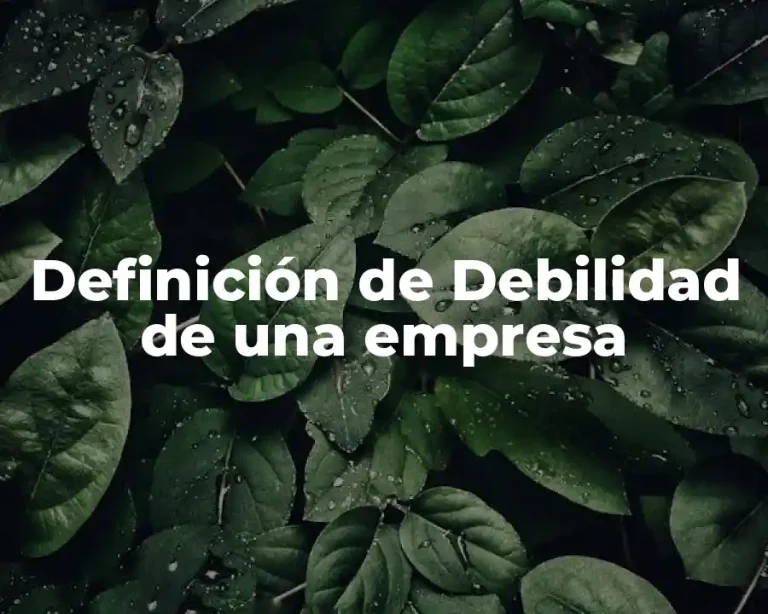 Definición de Debilidad de una empresa