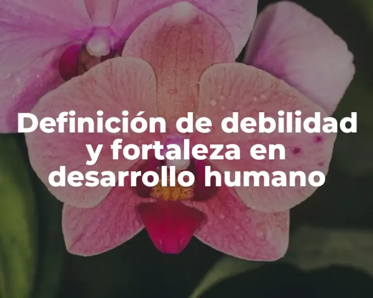Definición de debilidad y fortaleza en desarrollo humano