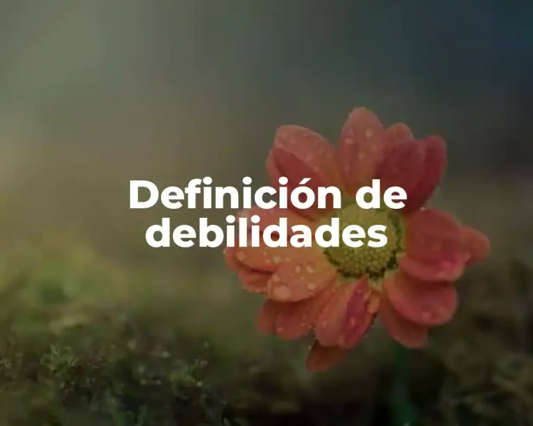 Definición de debilidades