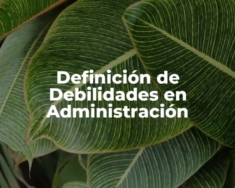 Definición de Debilidades en Administración
