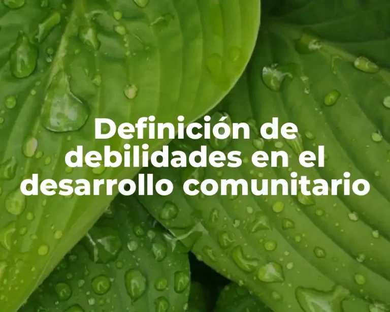 Definición de debilidades en el desarrollo comunitario