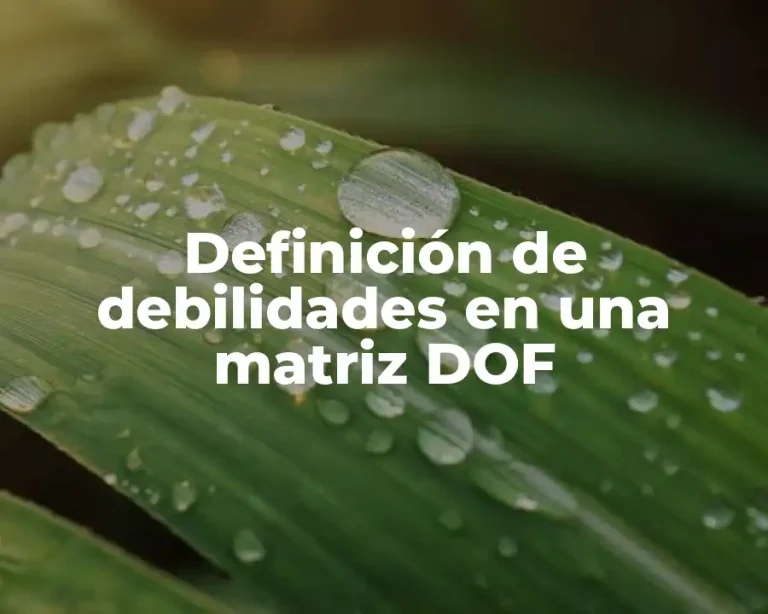 Definición de debilidades en una matriz DOF