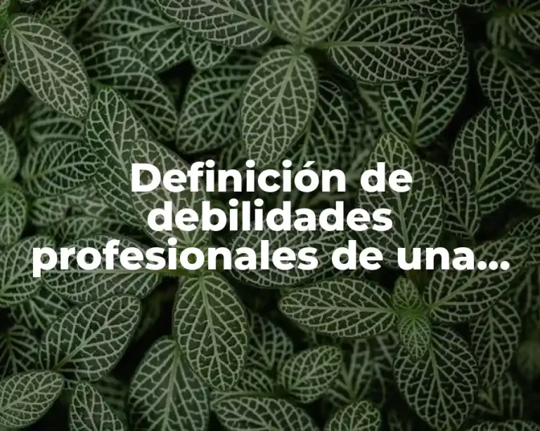 Definición de debilidades profesionales de una persona
