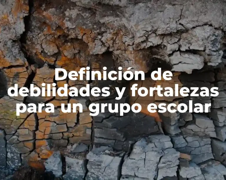 Definición de debilidades y fortalezas para un grupo escolar