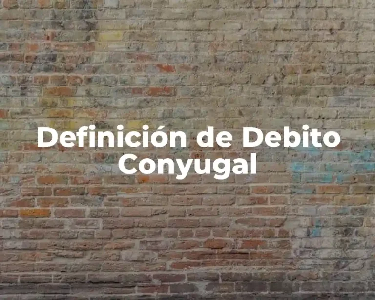Definición de Debito Conyugal