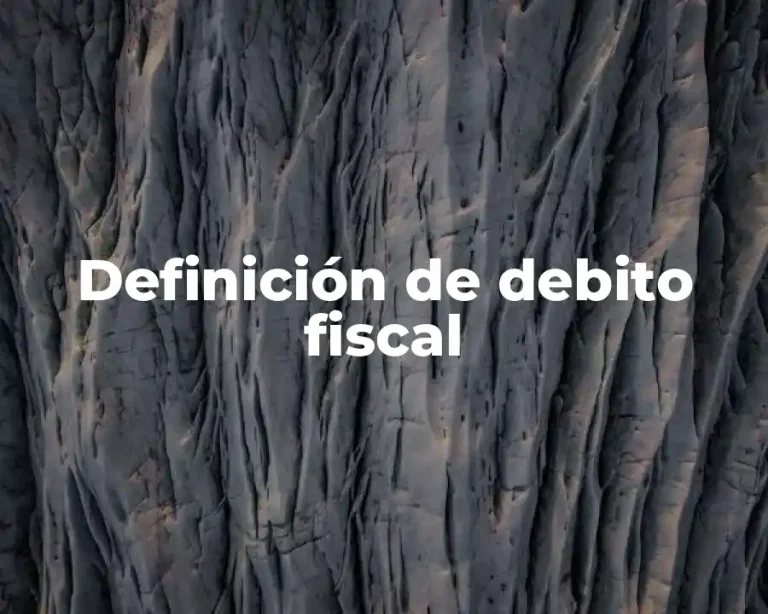 Definición de debito fiscal