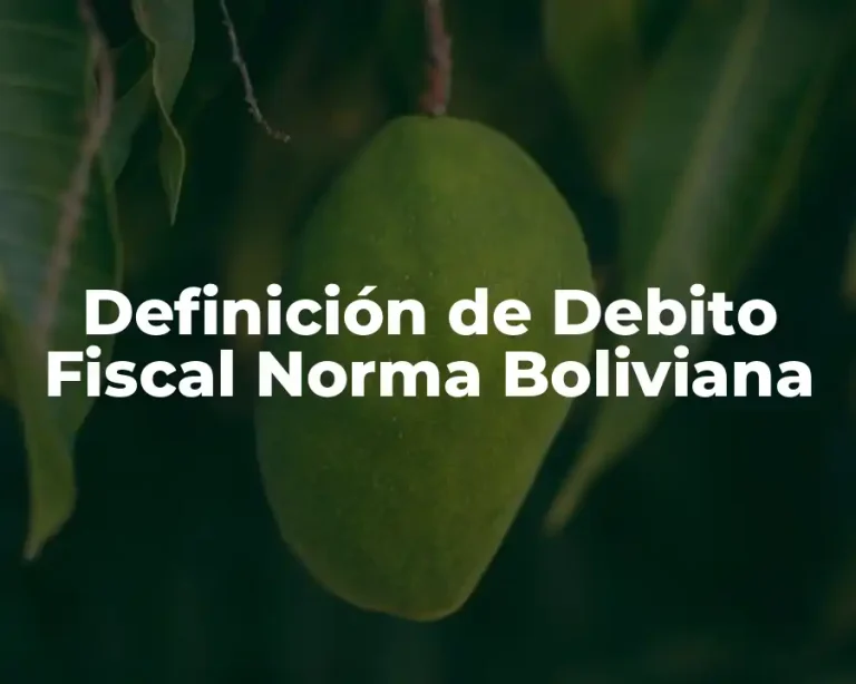 Definición de Debito Fiscal Norma Boliviana