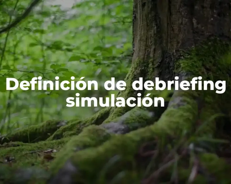 Definición de debriefing simulación