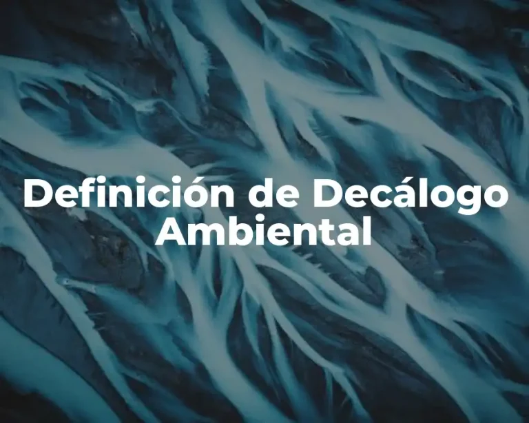 Definición de Decálogo Ambiental