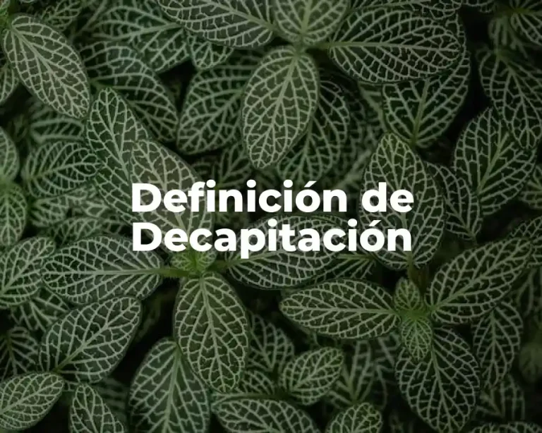 Definición de Decapitación