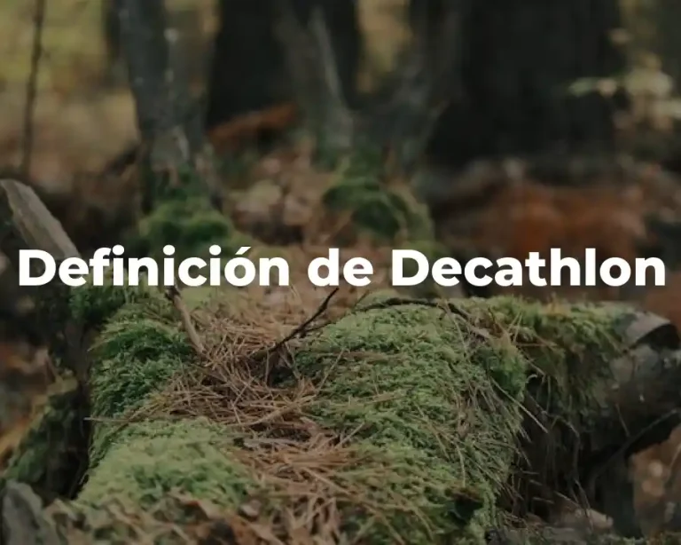 Definición de Decathlon