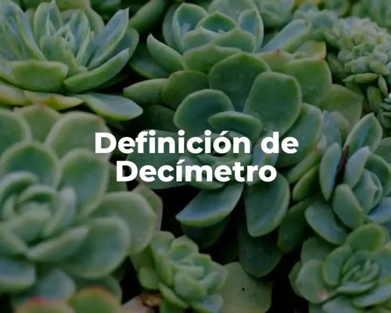 Definición de Decímetro
