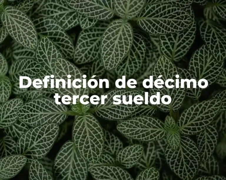 Definición de décimo tercer sueldo