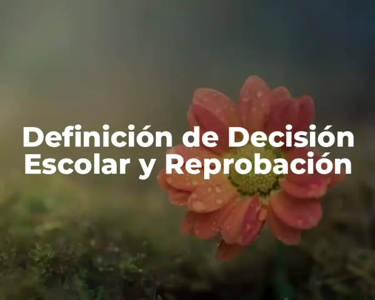 Definición de Decisión Escolar y Reprobación