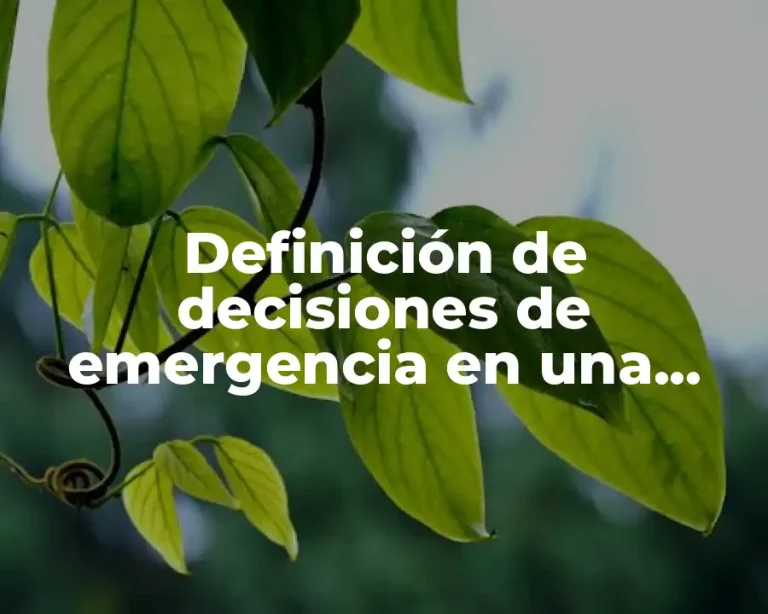 Definición de decisiones de emergencia en una empresa