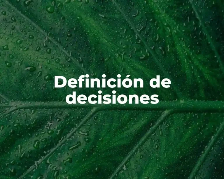 Definición de decisiones