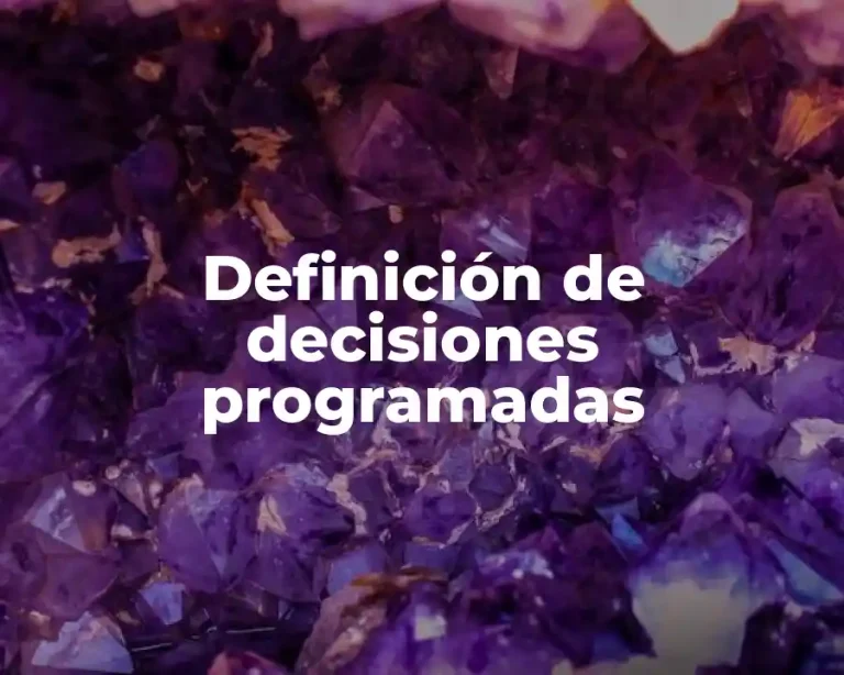 Definición de decisiones programadas