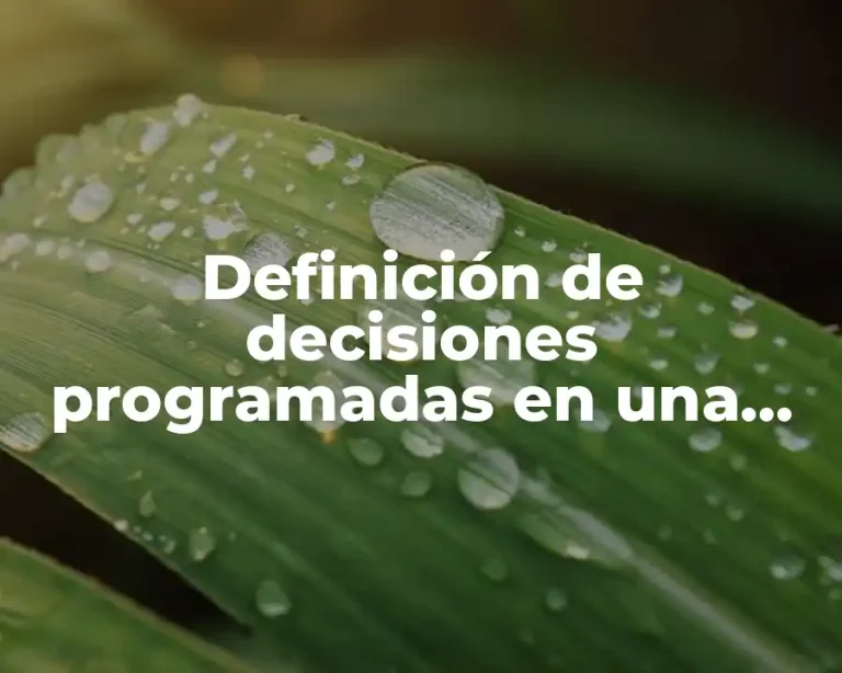 Definición de decisiones programadas en una empresa