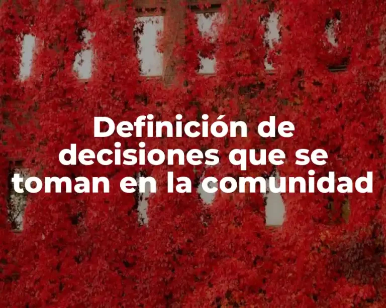 Definición de decisiones que se toman en la comunidad