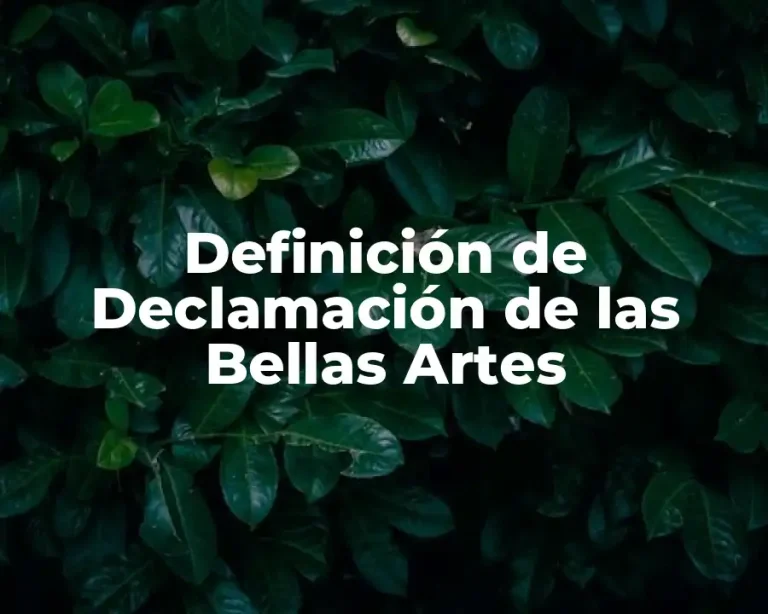 Definición de Declamación de las Bellas Artes