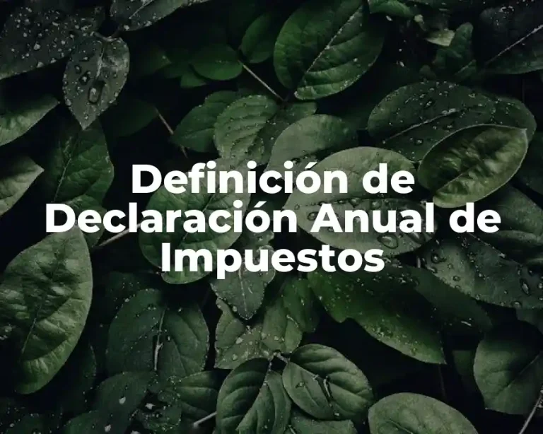Definición de Declaración Anual de Impuestos