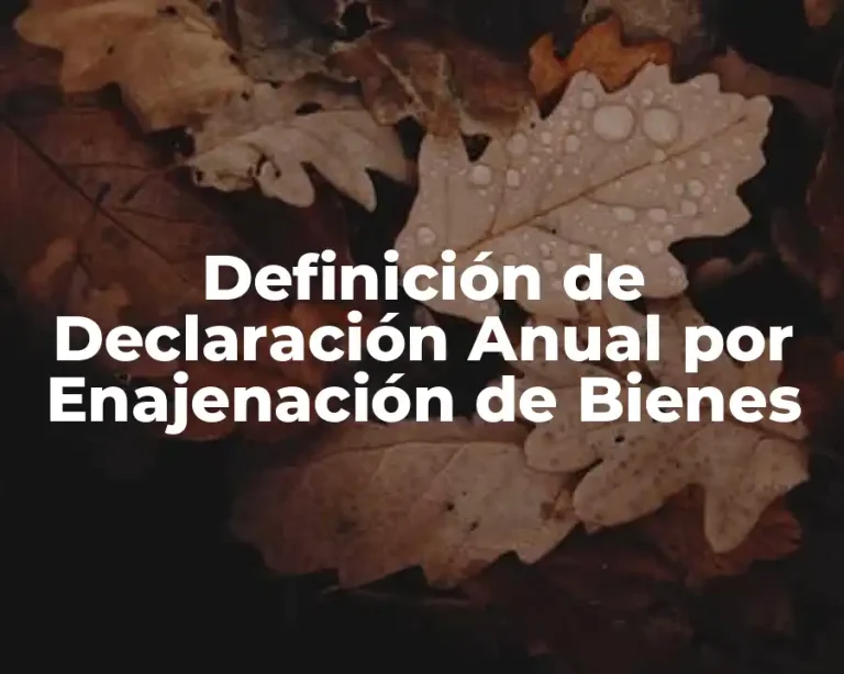 Definición de Declaración Anual por Enajenación de Bienes