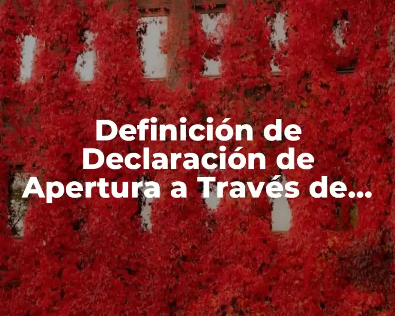 Definición de Declaración de Apertura a Través de Internet