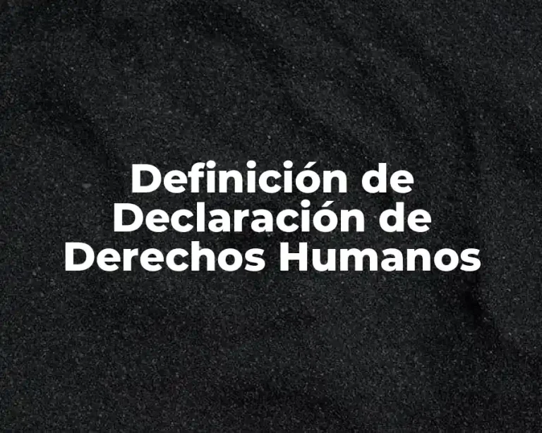 Definición de Declaración de Derechos Humanos